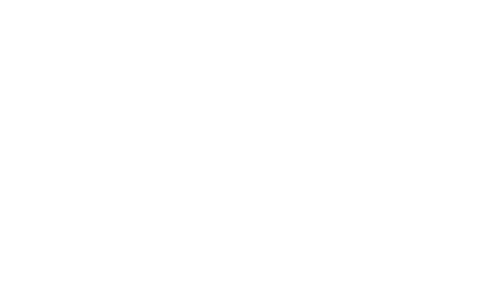 Aletta Lures